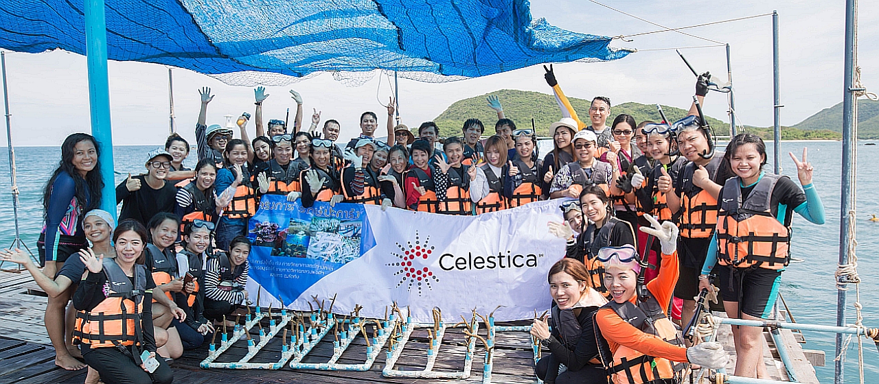 Celestica employees in Thailand doing coral reef restoration work