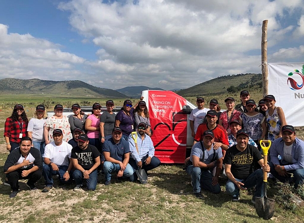 Celestica employees planting trees