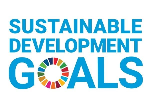 Sustainable Development Goals, UN&nbsp;