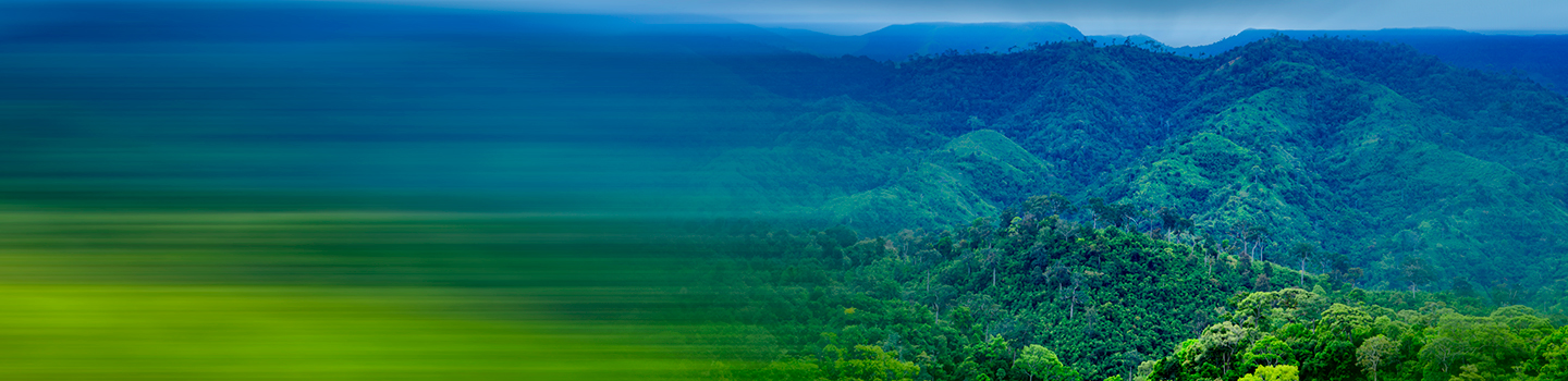 Mountains and green valleys